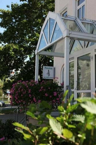 Гостевой дом Pension am Großen Garten в Дрездене
