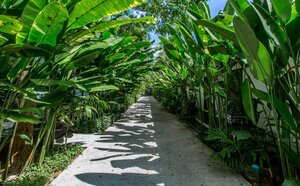 Гостиница Nai Yang Beach Resort & SPA