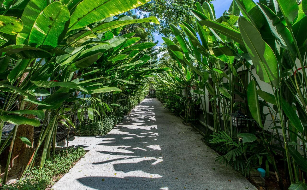 Nai Yang Beach Resort & SPA - 6