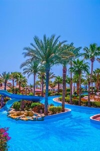 Гостиница Pickalbatros Golf Beach Resort в Шарм-эль-Шейхе