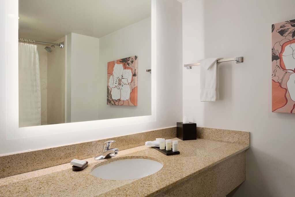 Фото Embassy Suites by Hilton Denver International Airport