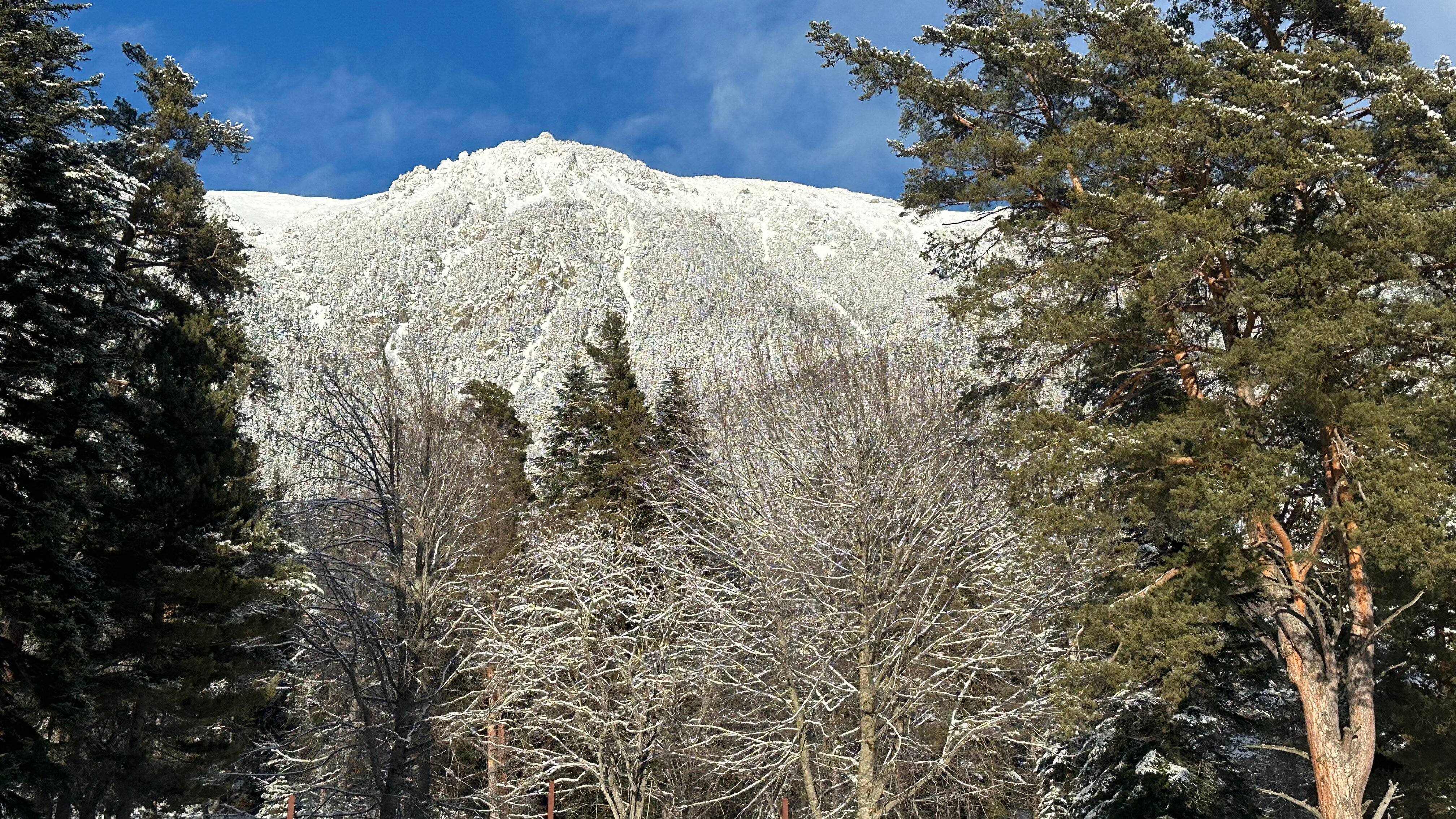 Фото Дух леса