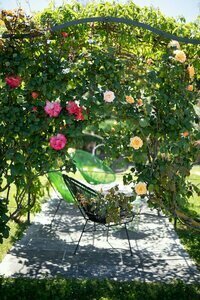 Гостиница Tenuta Torre Rossa Farm & Apartments в Импрунете