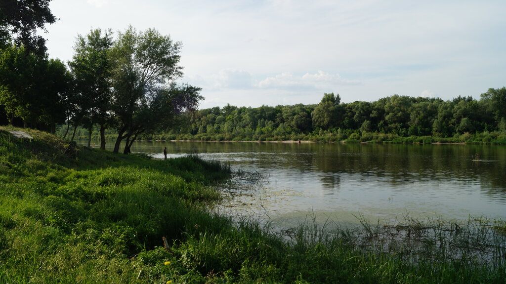 Станица базковская ростовская область карта