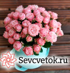 Sevcvetok (улица Пожарова, 6), flower shop