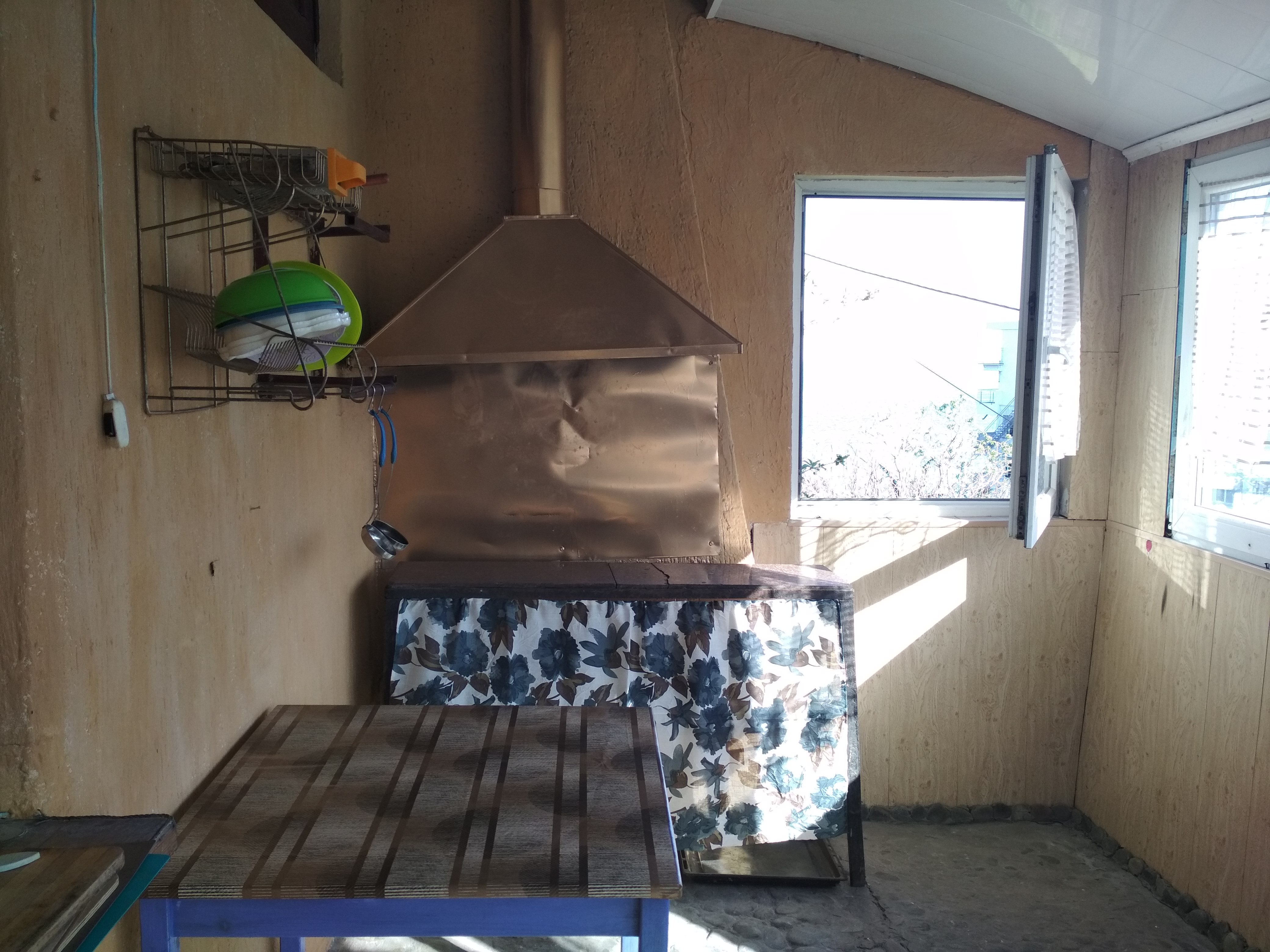 Фото Ласточка