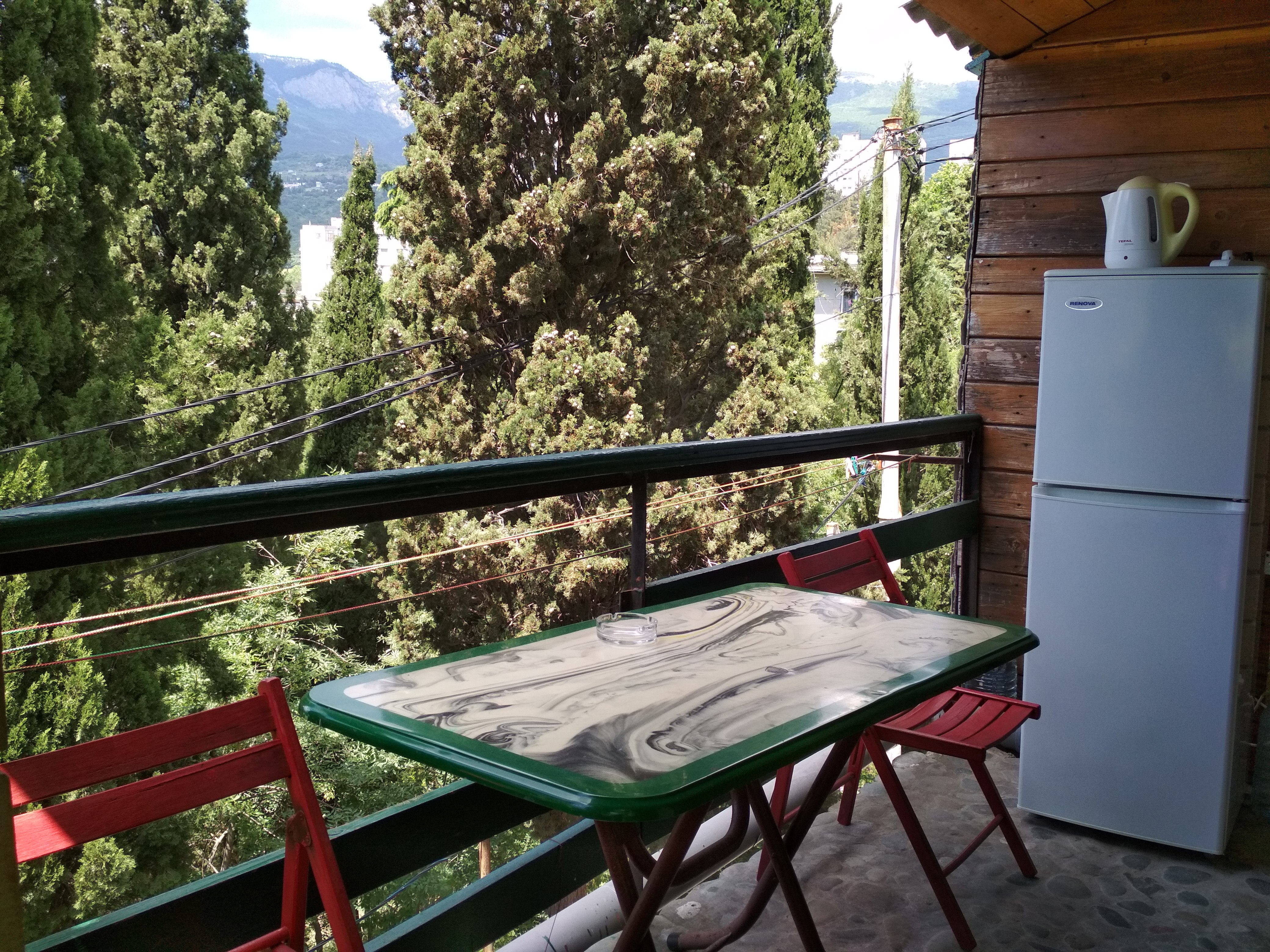 Фото Ласточка