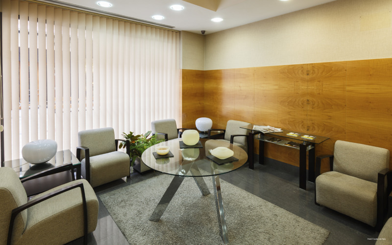 Фото Hotel Condes de Haro