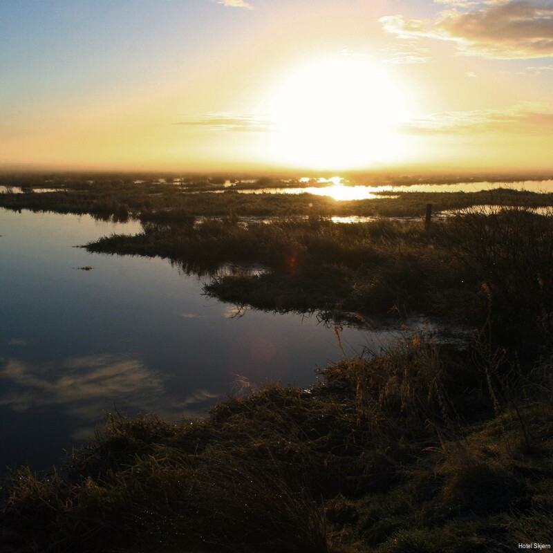 Фото Hotel Skjern