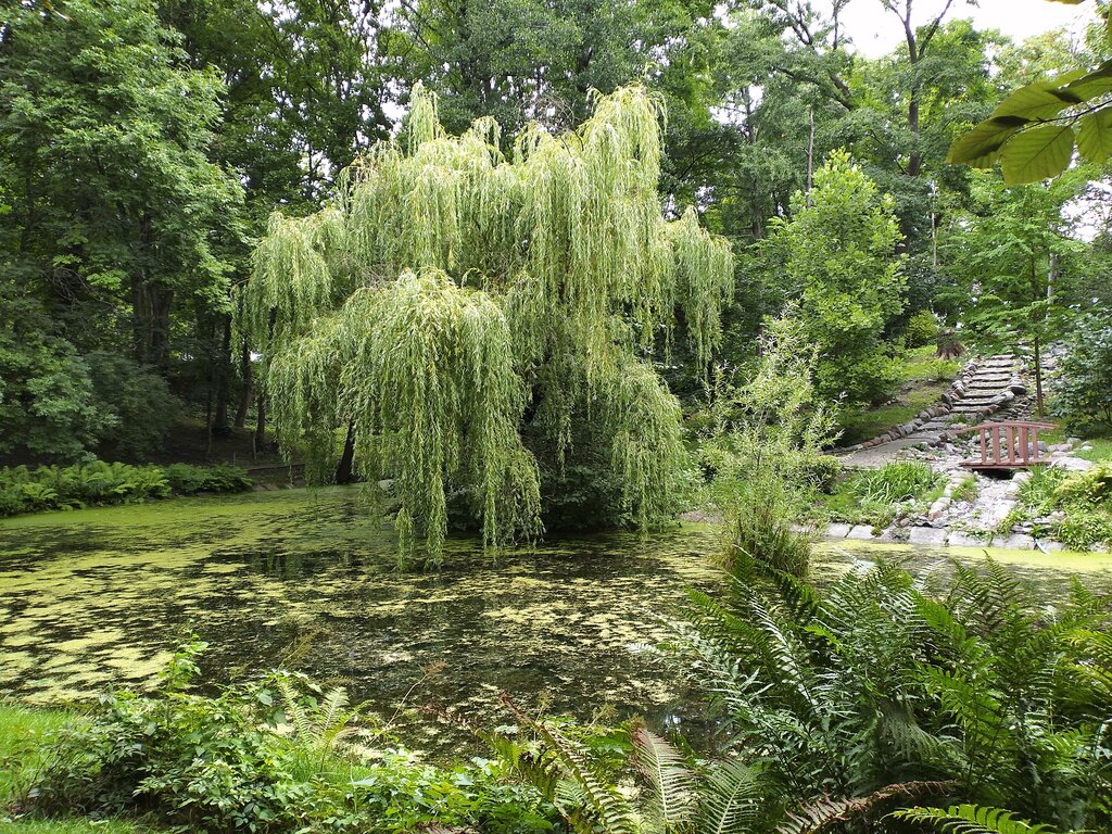 Kurs Regional Children and Youth center for environmental education and tourism, Kaliningrad, foto