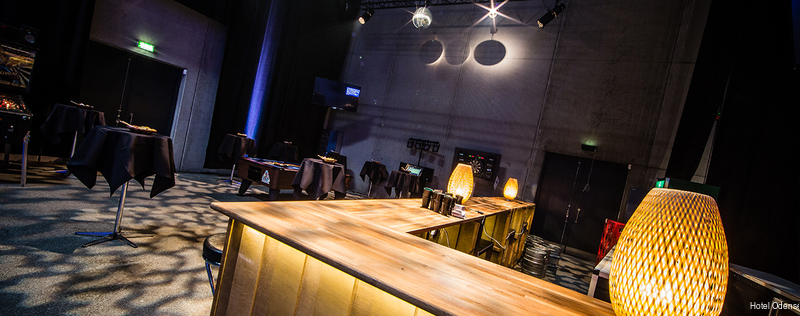 Фото Hotel Odense