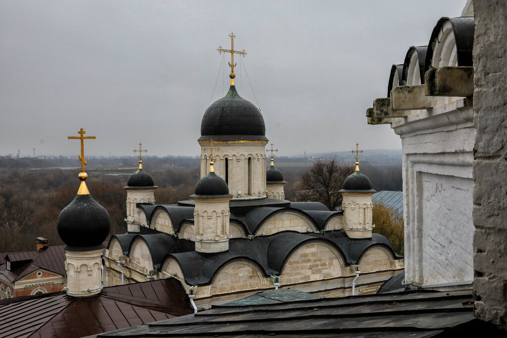 كنيسة أرثوذكسية Tserkov Aleksiya, mitropolita Moskovskogo, vo Vladychnom monastyre ، ، صورة