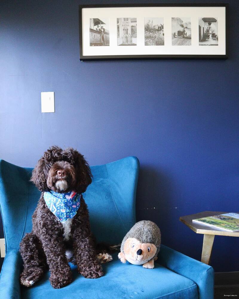 Фото Borrego Valley Inn