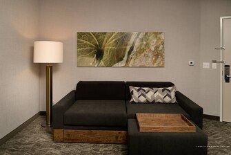 Фото SpringHill Suites by Marriott Austin Cedar Park