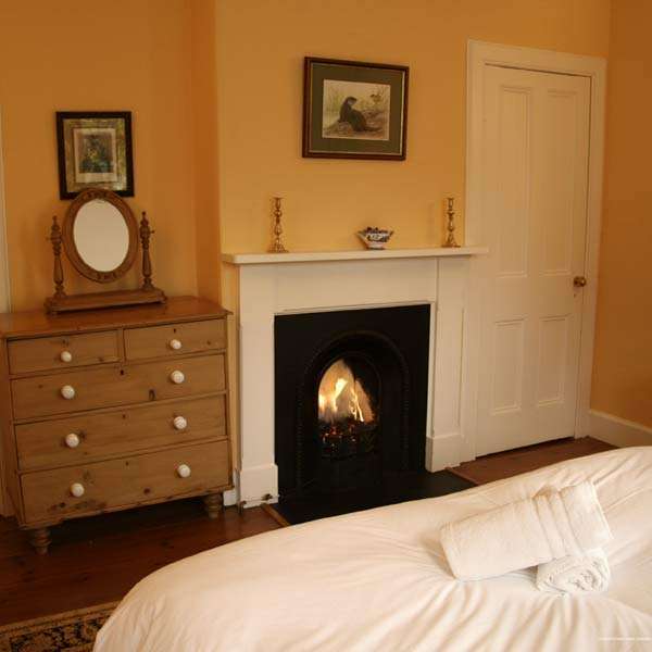 Фото Comfort Suites Lake Jackson Clute