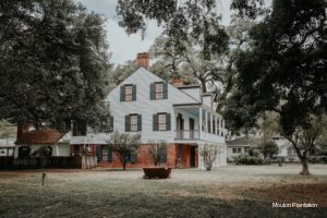 Фото Mouton Plantation