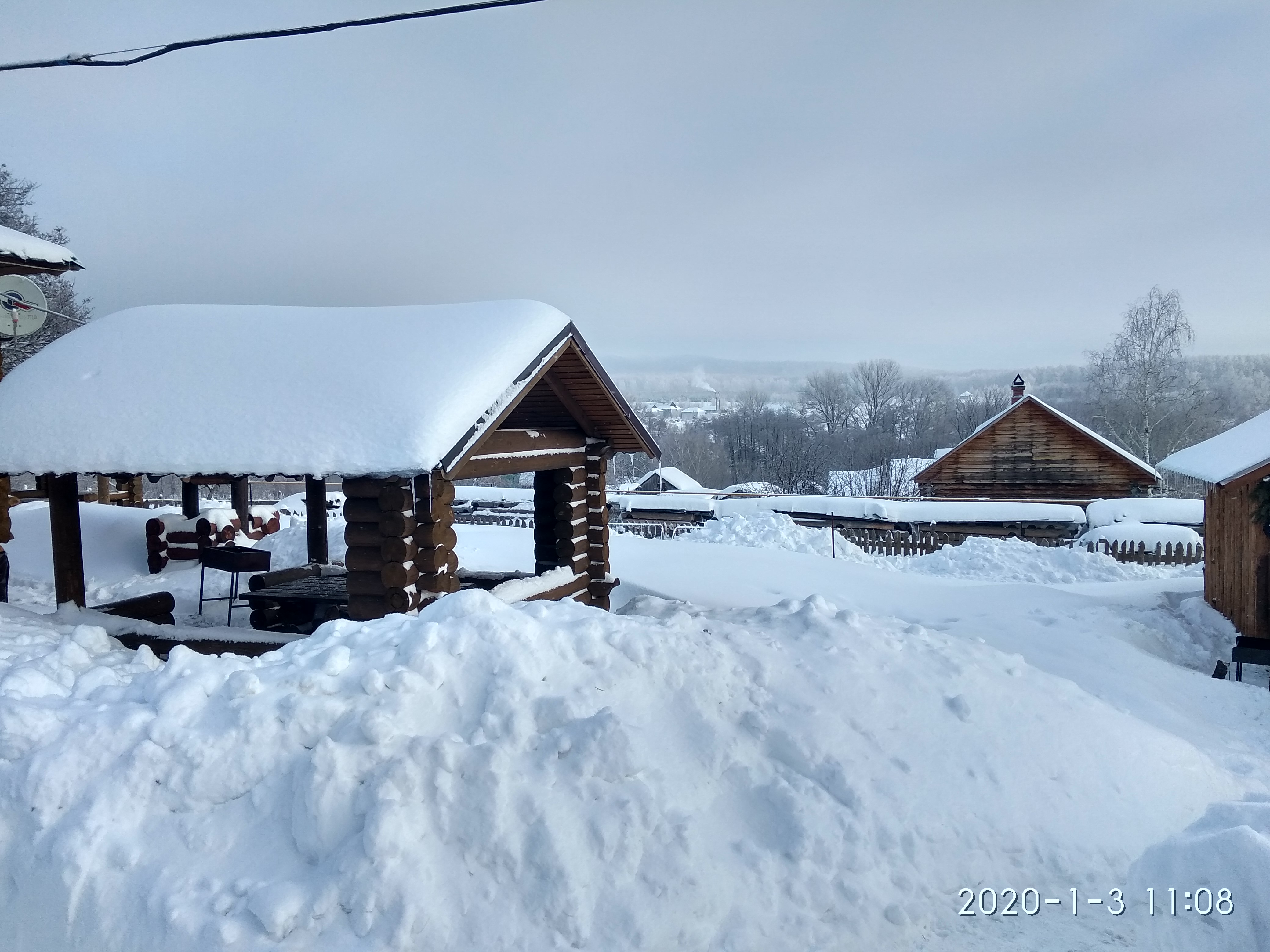 Фото Лесная сказка