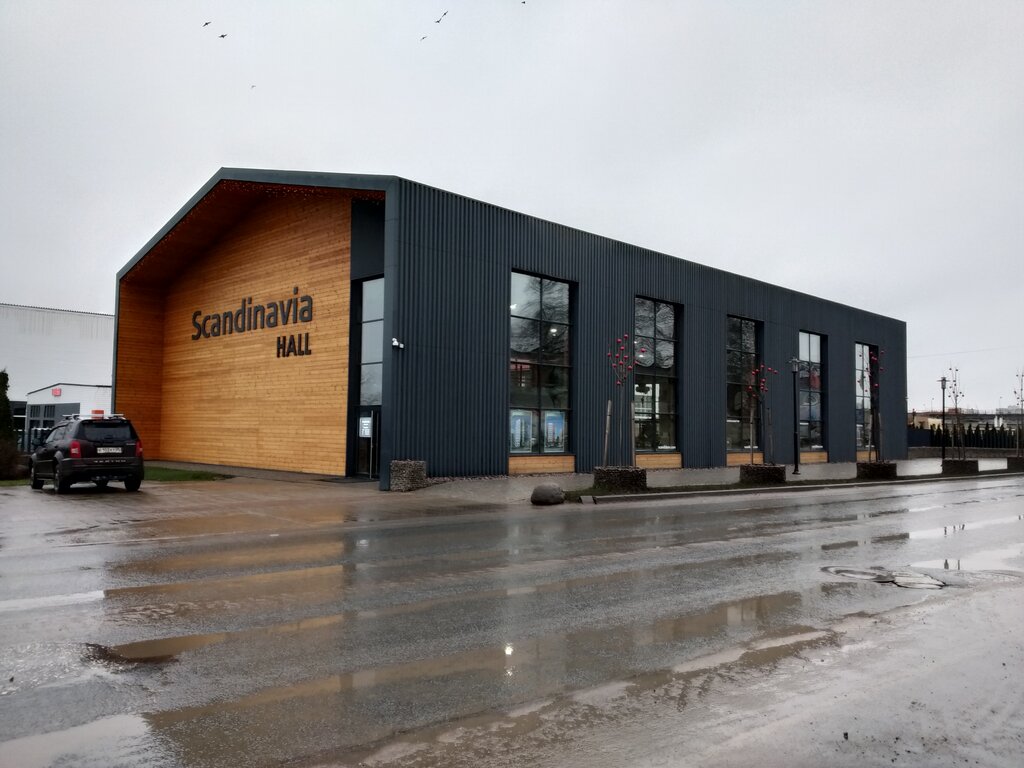 Скандинавия проект псков