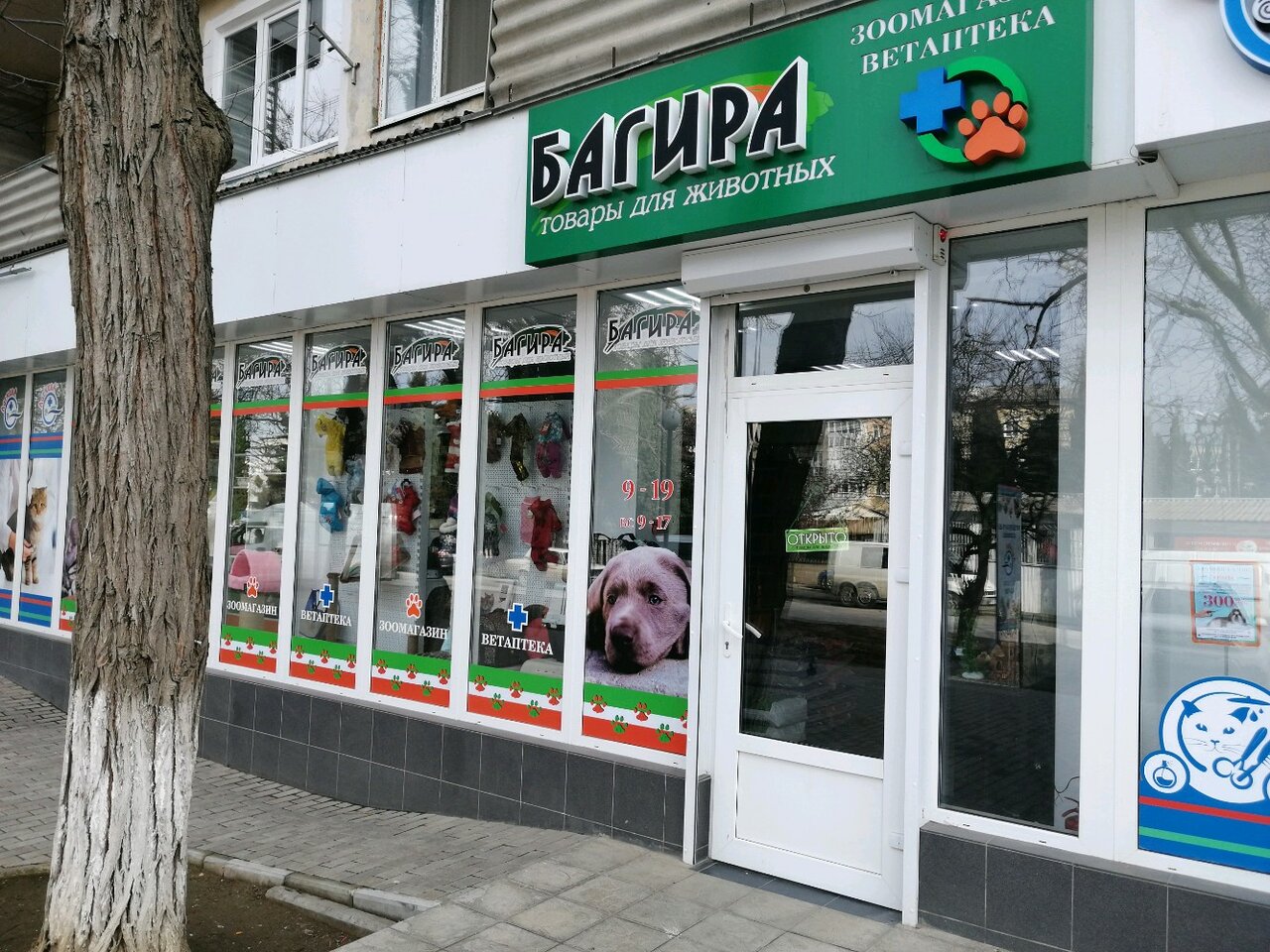 Багира просп октябрьской революции 67 фото Zoomagazin Bagira - veterinary's pharmacy's in news, проспект Октябрьской Револю