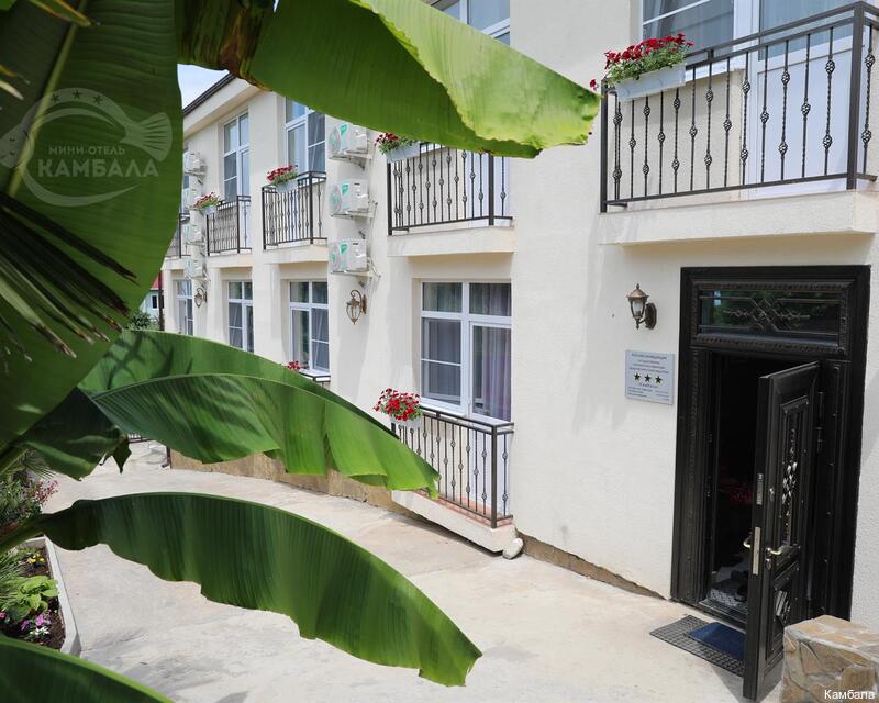 Фото Камбала