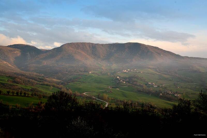 Фото Park Hotel Serena