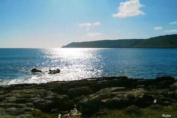 Фото Hotel Rodia