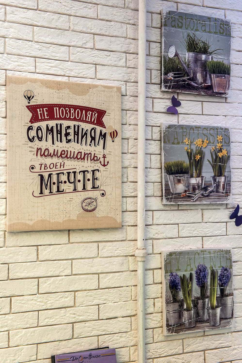 Фото Dream House