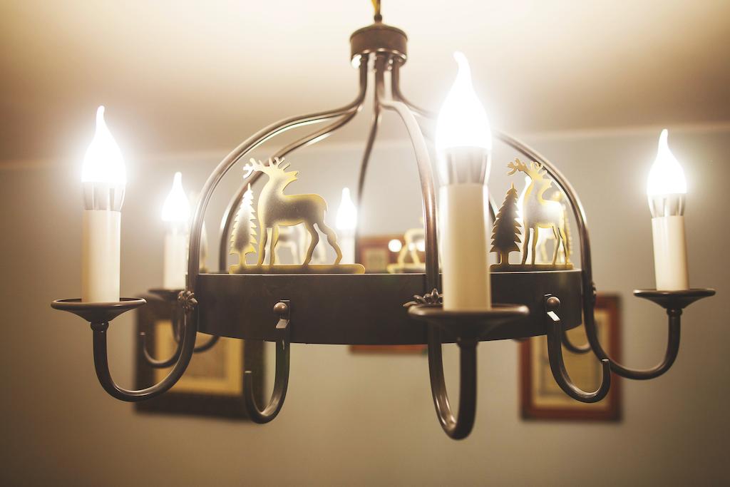 Фото Scotch Hostel