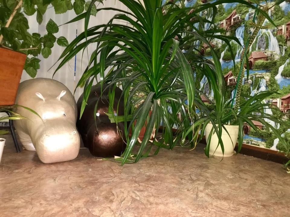 Фото Юбилейная