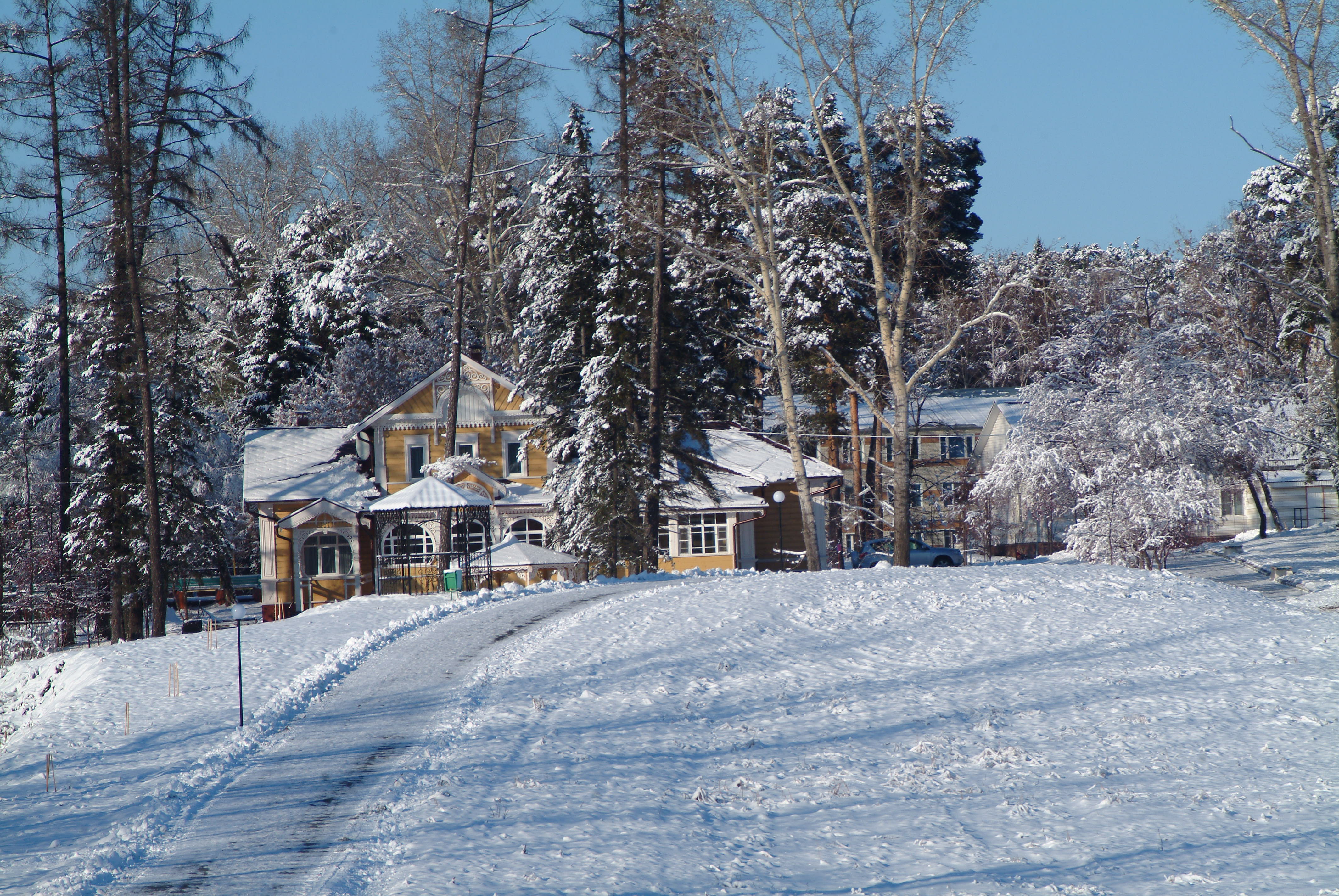 Фото Сосновый бор