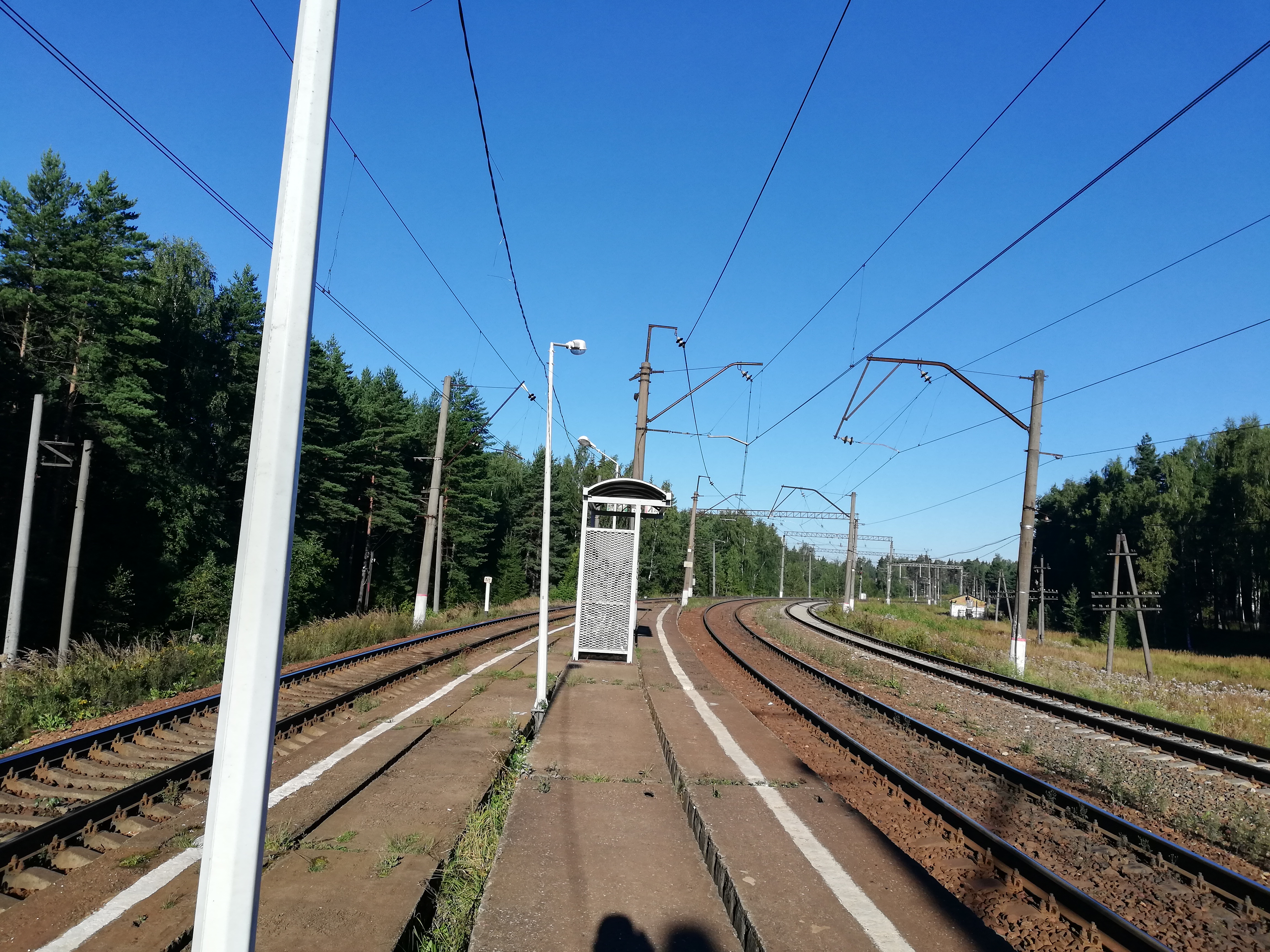 Фото поварово московская область