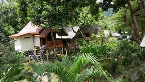 Гостиница Khao Sok Jungle Huts