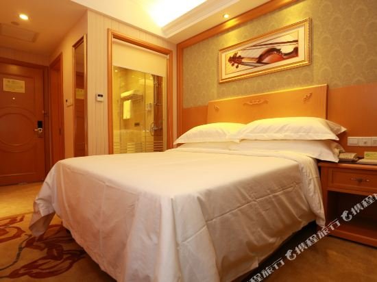 Фото Vienna Hotel