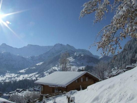 Hotel Hotel Crystal, Adelboden, photo