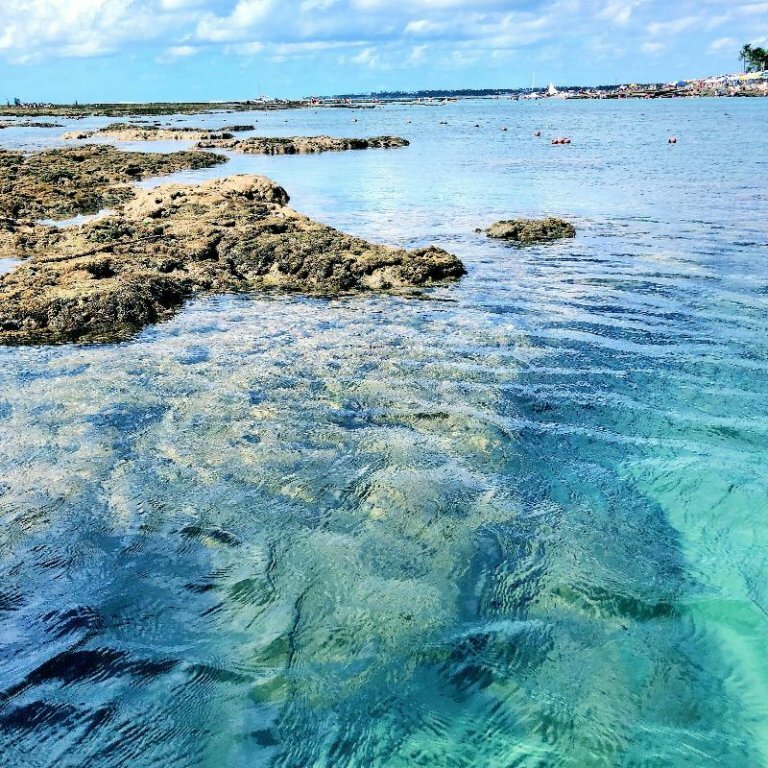 Hotel Pousada Coco Beach, State of Pernambuco, photo