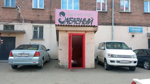 Бейресми жыныстық позициялар