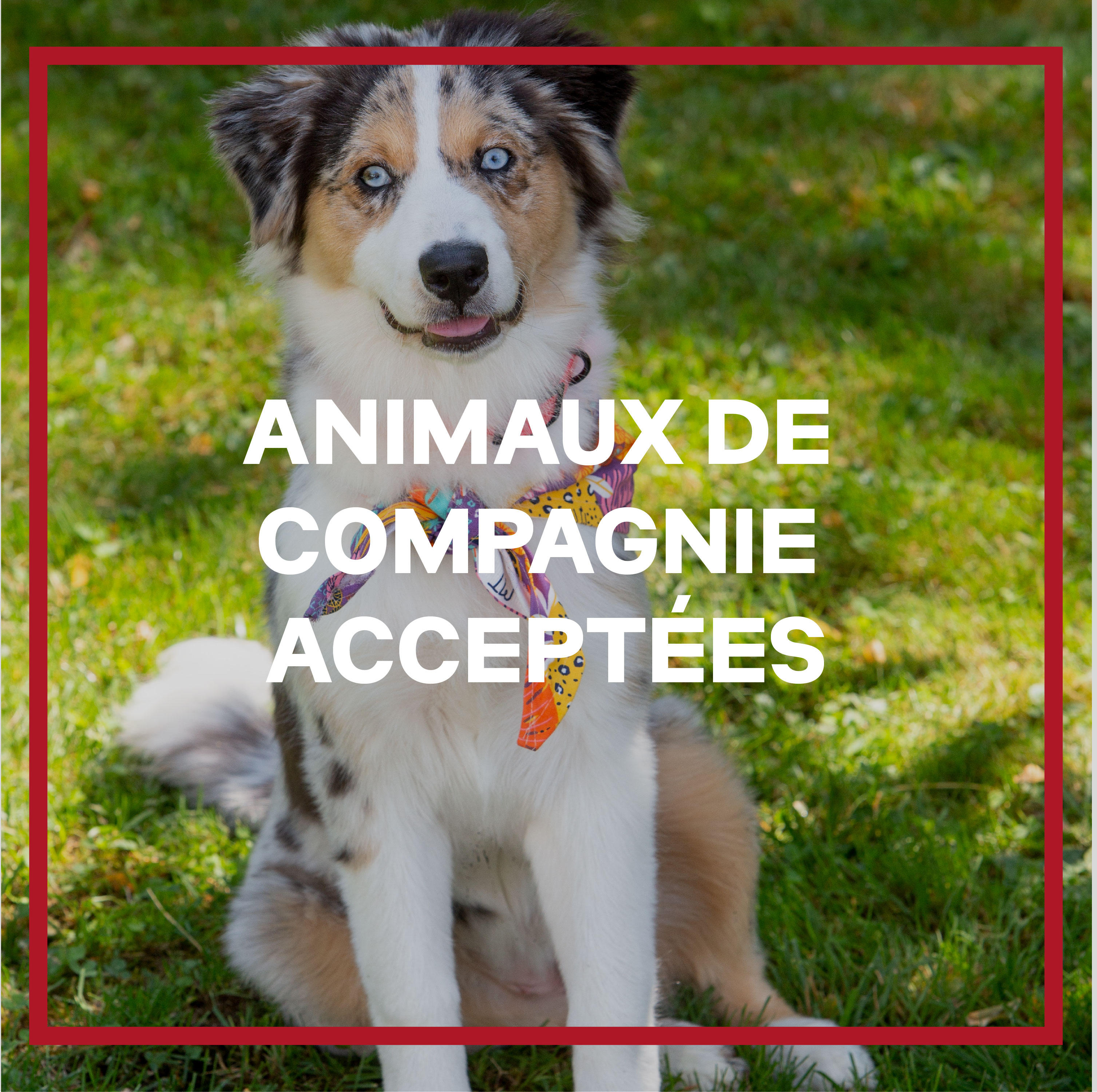 Фото Ibis Rodez Centre