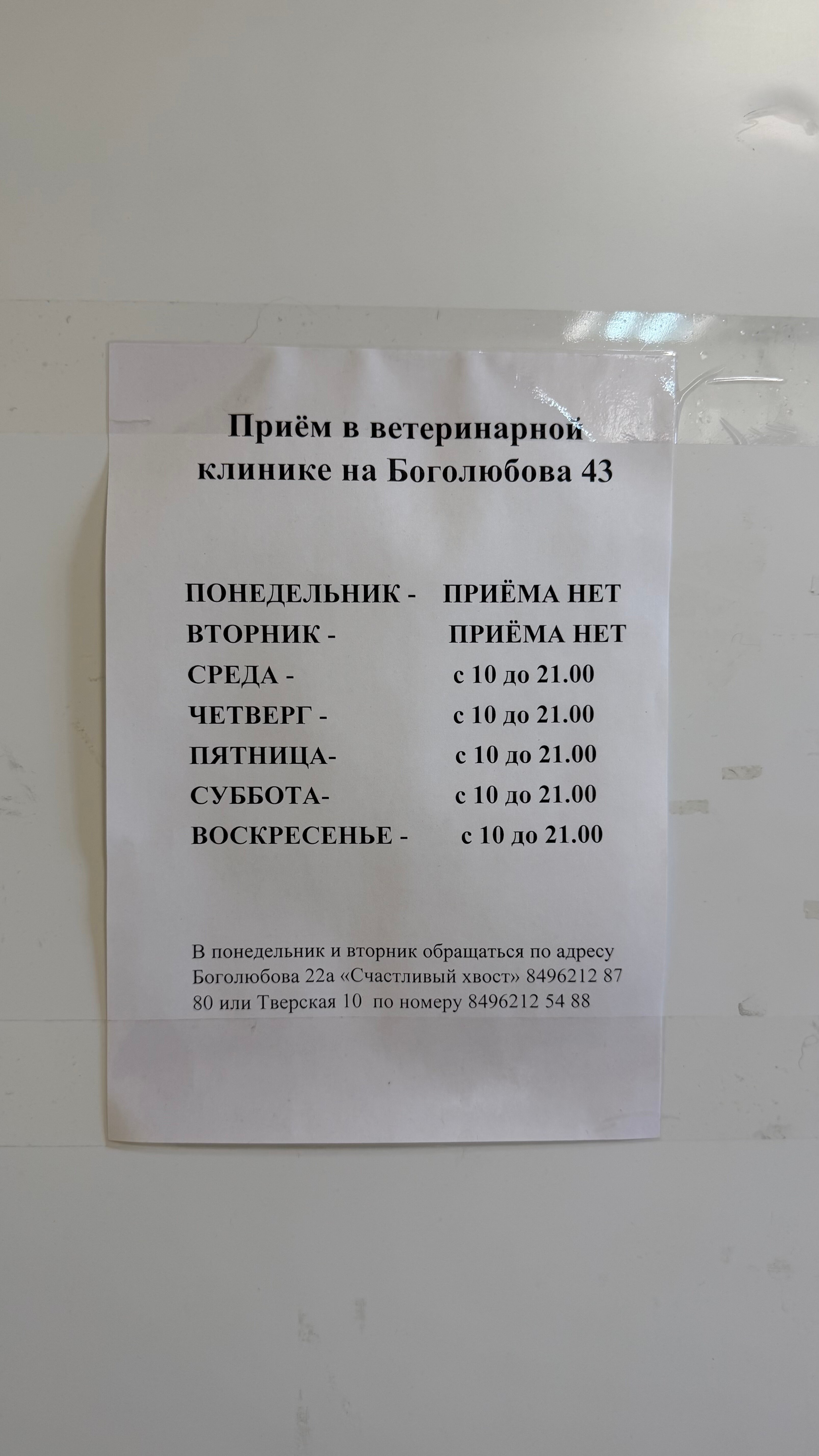 Счастливый Хвост - фото 21