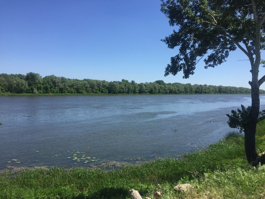 Станица базковская ростовская область карта