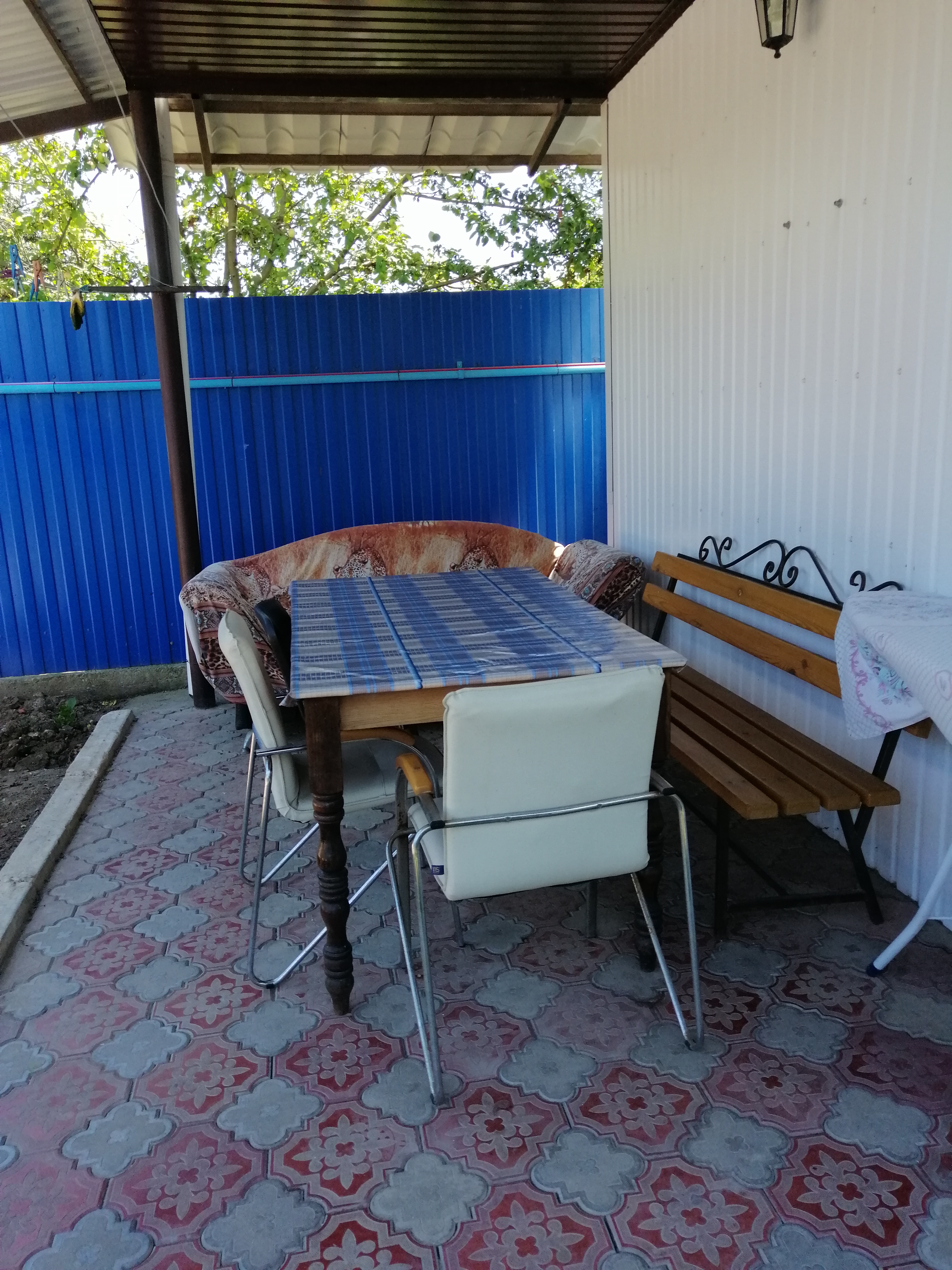 Фото Моника