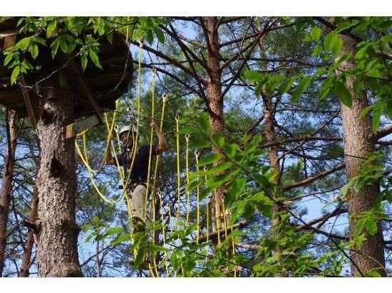 Фото Gujyo Vacance Mura Hotel