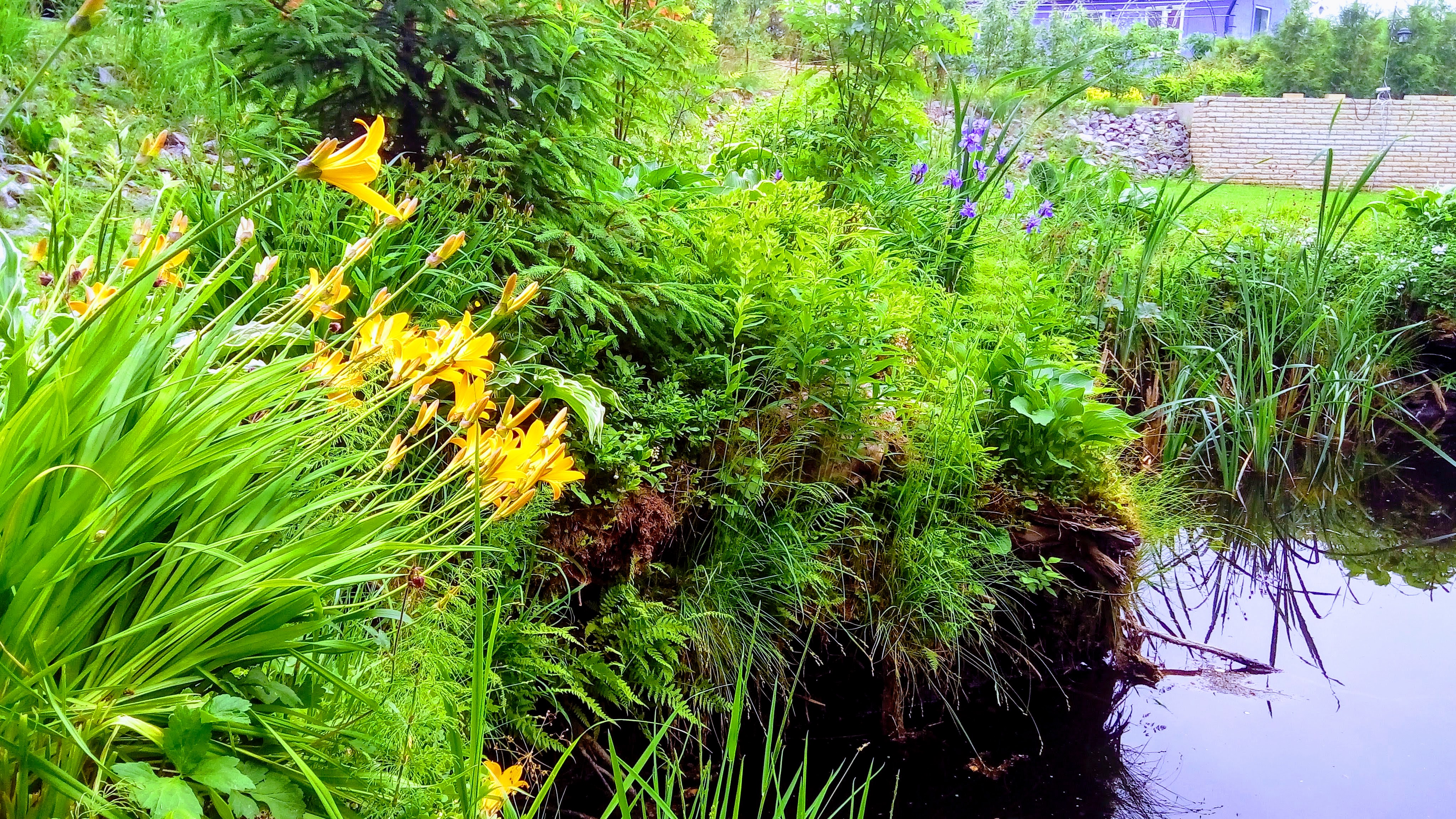 Фото Дивное СамоцветЬе