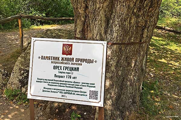 Фото Горная Антавия