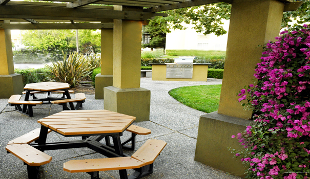 Фото Larkspur Landing Bellevue - An All-Suite Hotel