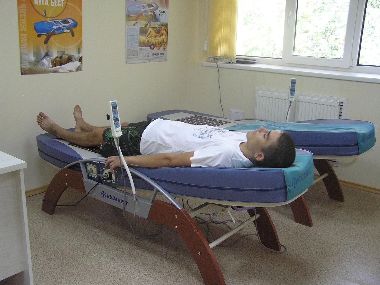 Фото Русский бор