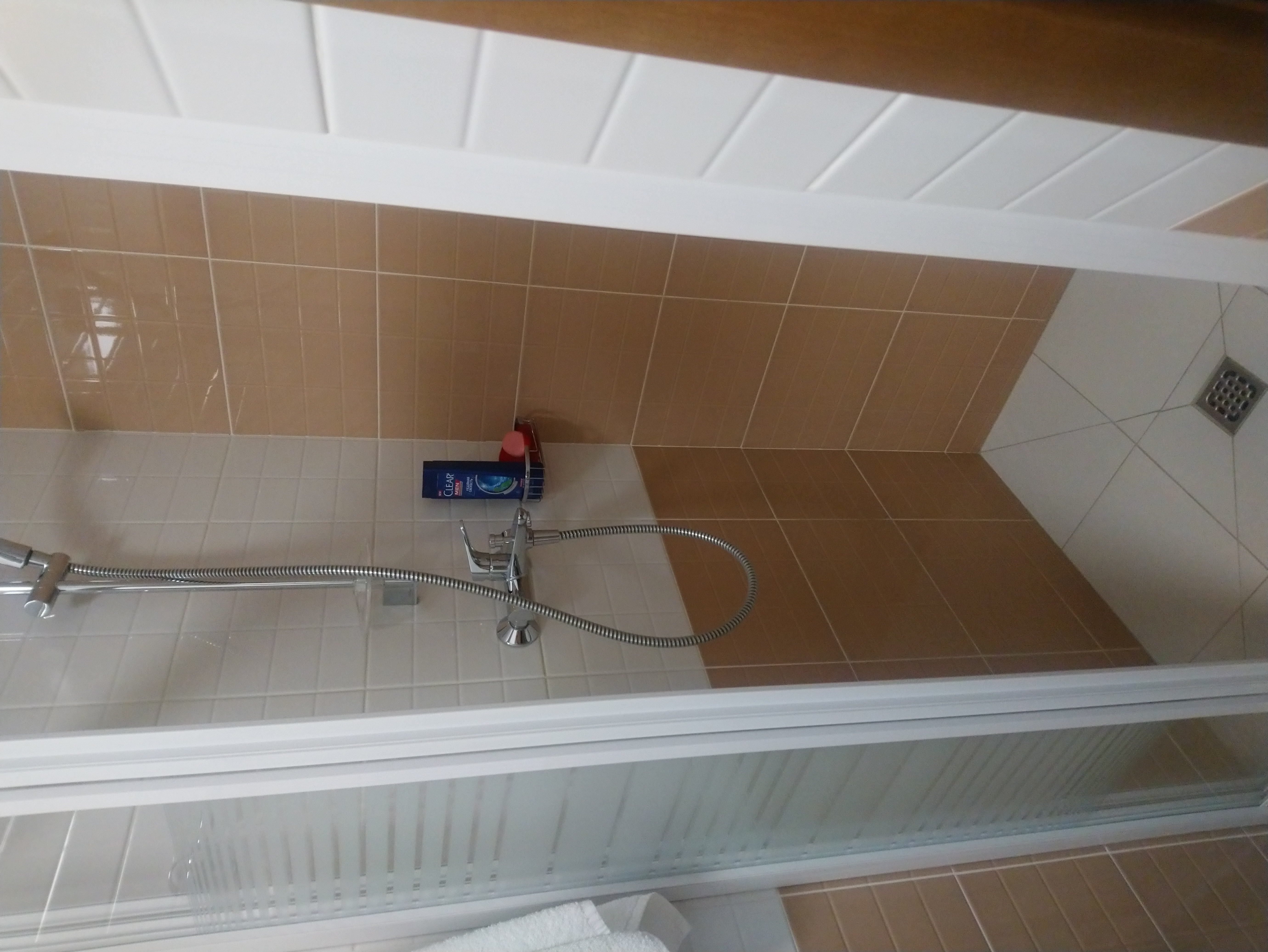 Фото Панда Сити