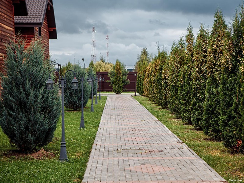 Фото Меридиан