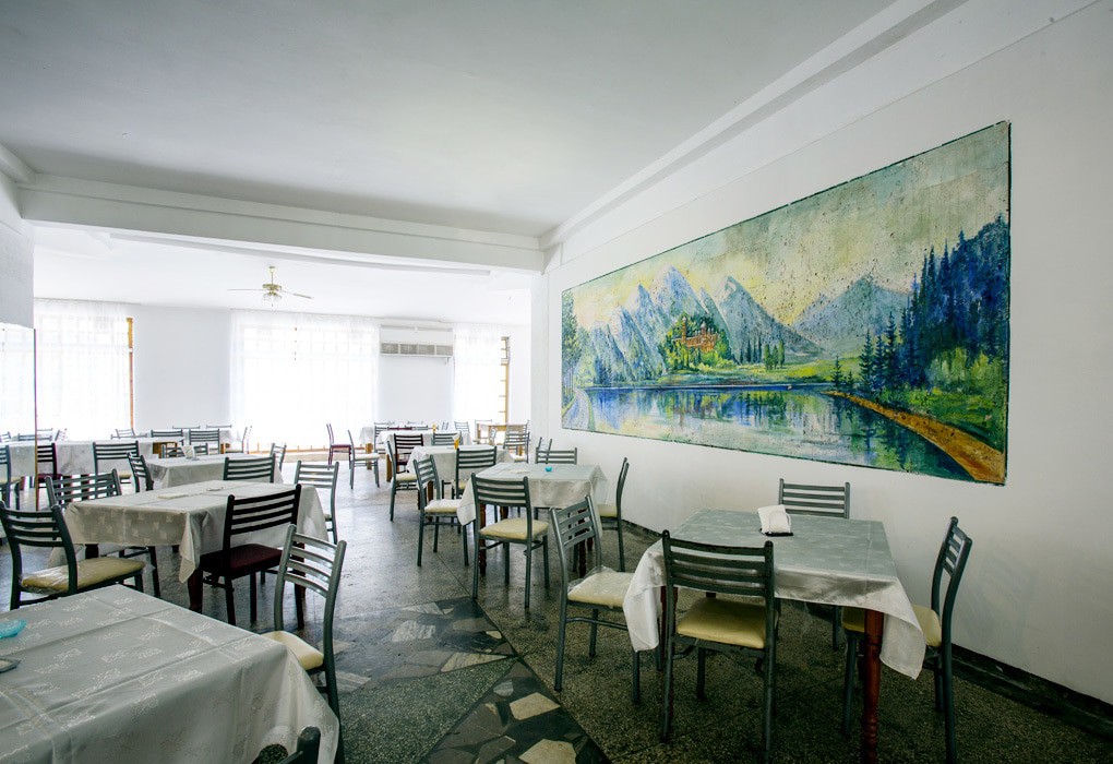 Фото Эвкалиптовая роща