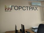 Фото 1 Автострахование Горстрах