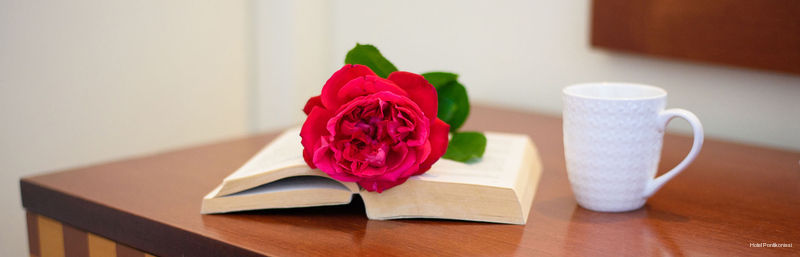 Фото Pontikonisi Hotel